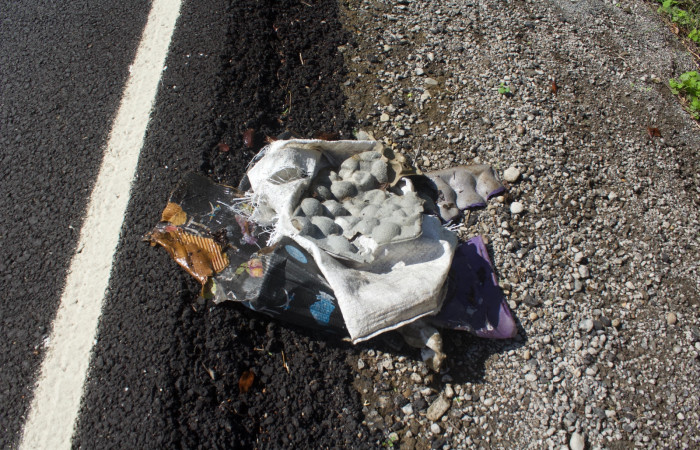 Carretera interamericana norte, 29 de mayo 2018, fotografía: Melissa Espinoza R.