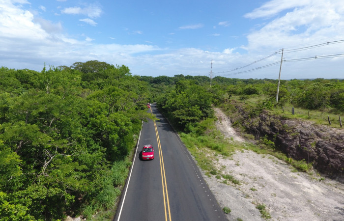 Fotografías: Sergio Cascante, Programa de Manejo de Fuego
https://www.acguanacaste.ac.cr/noticias/noticias-acg/4242-tunel-verde-y-vivo-de-la-biodiversidad-carretera-de-interamericana-norte-la-cruz-guanacaste