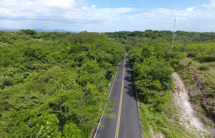 Fotografías: Sergio Cascante, Programa de Manejo de Fuego
https://www.acguanacaste.ac.cr/noticias/noticias-acg/4242-tunel-verde-y-vivo-de-la-biodiversidad-carretera-de-interamericana-norte-la-cruz-guanacaste
