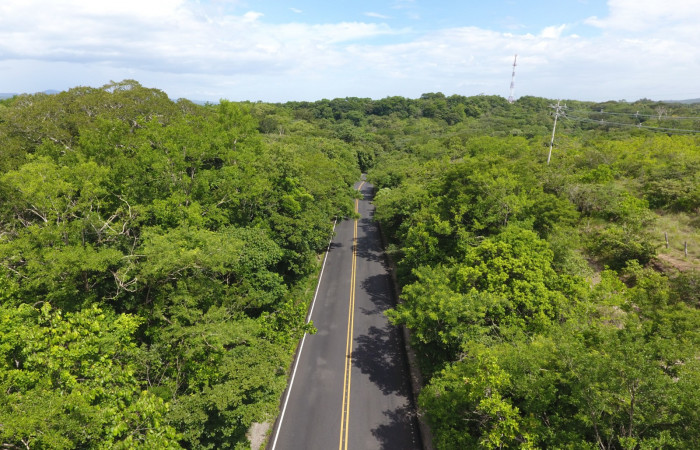Fotografías: Sergio Cascante, Programa de Manejo de Fuego
https://www.acguanacaste.ac.cr/noticias/noticias-acg/4242-tunel-verde-y-vivo-de-la-biodiversidad-carretera-de-interamericana-norte-la-cruz-guanacaste
