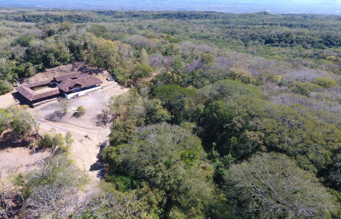 Fotografías: Sergio Cascante, Programa de Manejo de Fuego