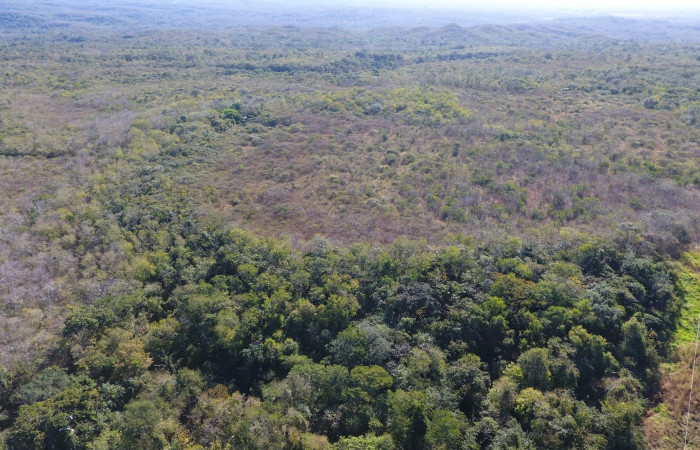 Fotografías: Sergio Cascante, Programa de Manejo de Fuego