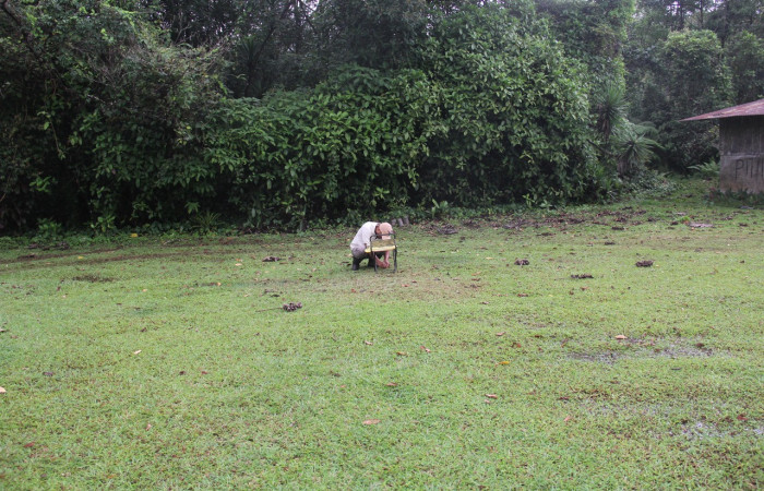 Fig. 05. Parataxónomo Calixto Moraga en recolección de larvas de Herpetogramma phaeopteralis, Voucher: 10-SRNP-41296-DHJ472841.jpeg.