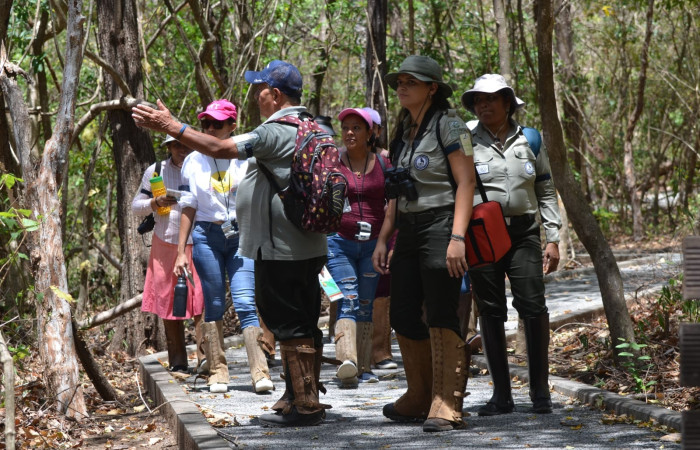 Por último, se habla un tema muy importante, para las giras educativas transcurran con   4. Medidas preventivas y de seguridad