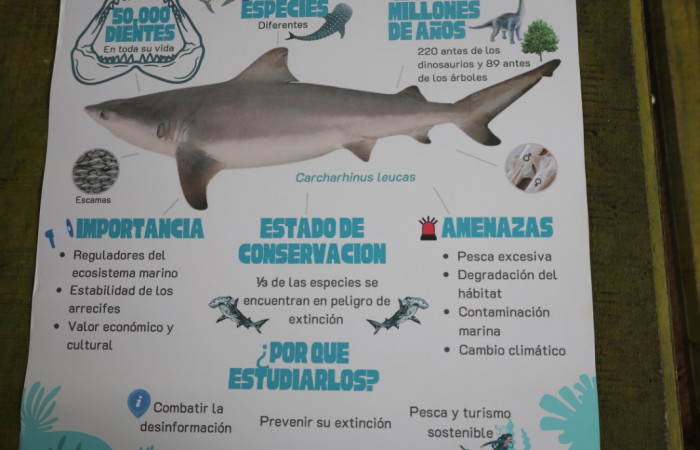 Refugio Nacional de Vida Silvestre Bahía Junquillal.  Fuente: Melissa Espinoza, 2025.