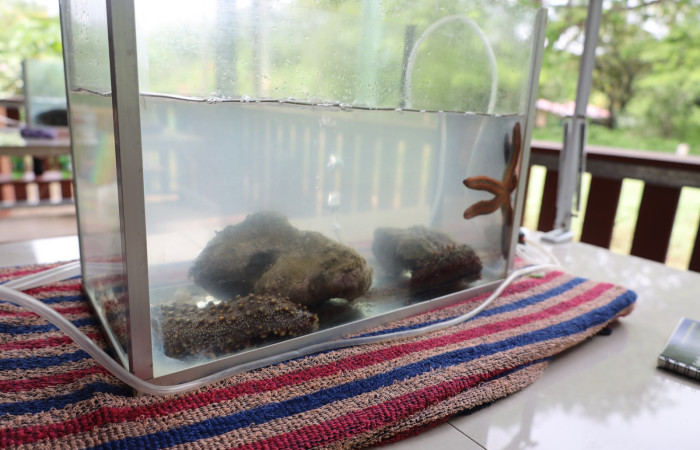 Comunidad de Cuajiniquil, La Cruz.  Fuente: Melissa Espinoza, 2025.