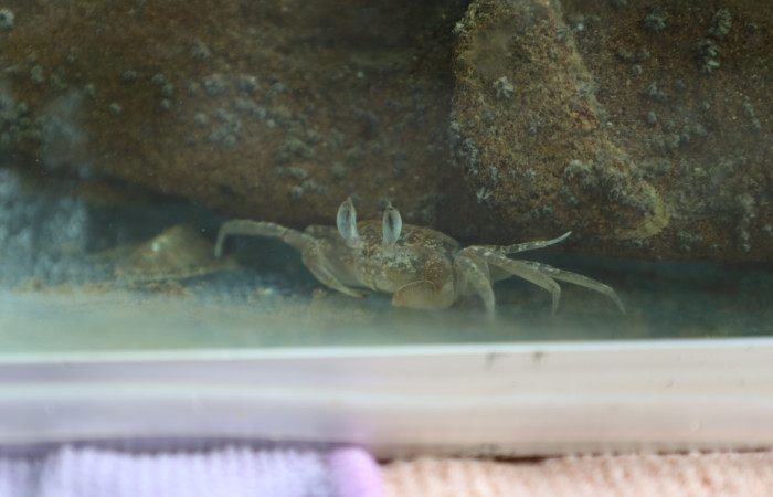 Comunidad de Cuajiniquil, La Cruz.  Fuente: Melissa Espinoza, 2025.