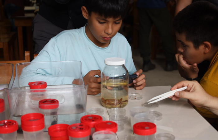 Comunidad de Cuajiniquil, La Cruz.  Fuente: Melissa Espinoza, 2025.