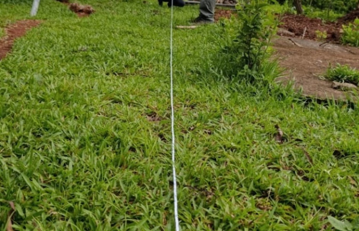 Fuente: archivos del PGAI -QDHV, 2025.