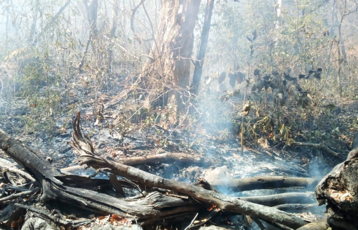 28 marzo 2019  Foto: Programa Manejo del Fuego ACG