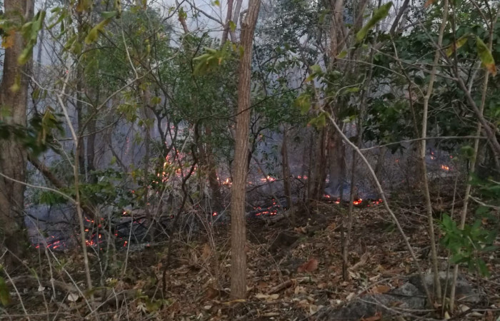 27 marzo 2019  Foto: Programa Manejo del Fuego ACG