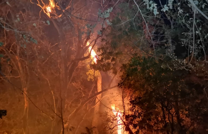 27 marzo 2019  Foto: Programa Manejo del Fuego ACG