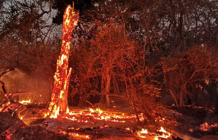 27 marzo 2019  Foto: Programa Manejo del Fuego ACG
