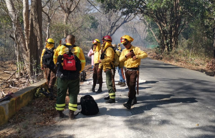 28 marzo 2019  Foto: Programa Manejo del Fuego ACG