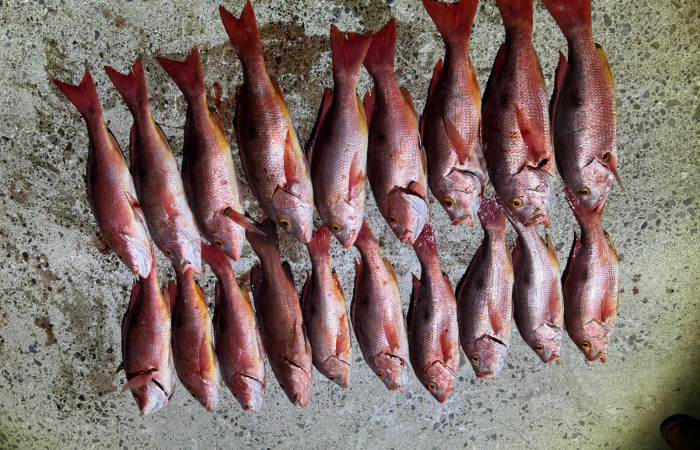 Sector Marino ACG  13 Agosto 2025  Foto: Braulio Bermudez 