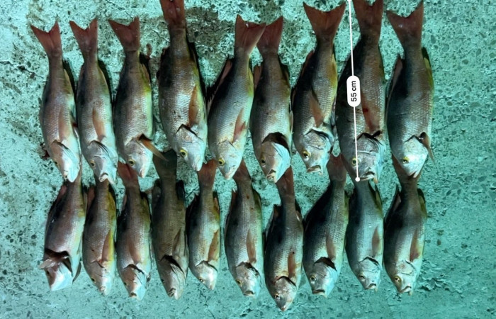 Sector Marino ACG  13 Agosto 2025  Foto: Braulio Bermudez 