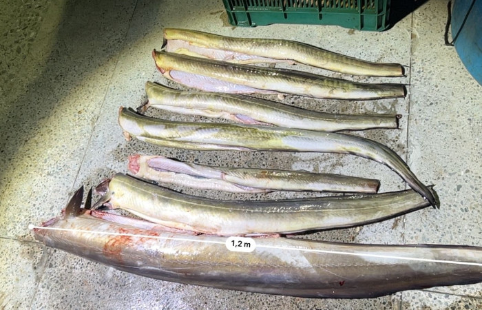 Sector Marino ACG  13 Agosto 2025  Foto: Braulio Bermudez 