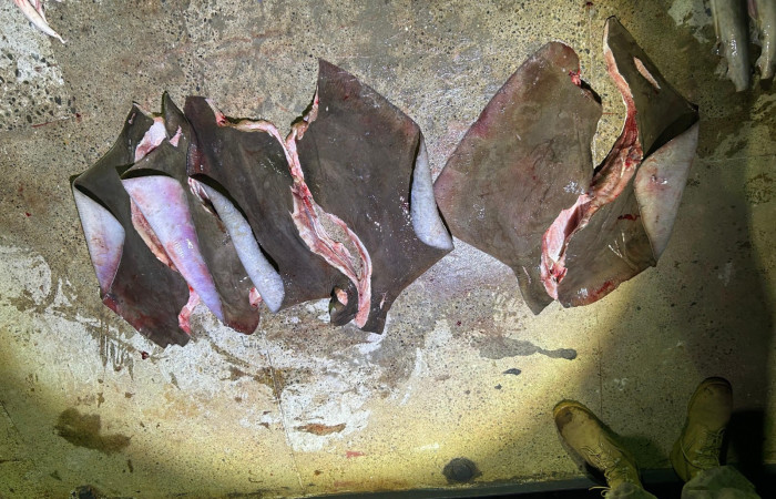 Sector Marino ACG  13 Agosto 2025  Foto: Braulio Bermudez 