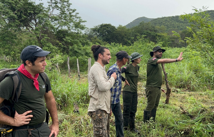 Mitigación de conflicto de felinos con humanos  Foto: Jossie Hernández
