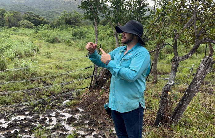 Mitigación de conflicto de felinos con humanos  Foto: Jossie Hernández