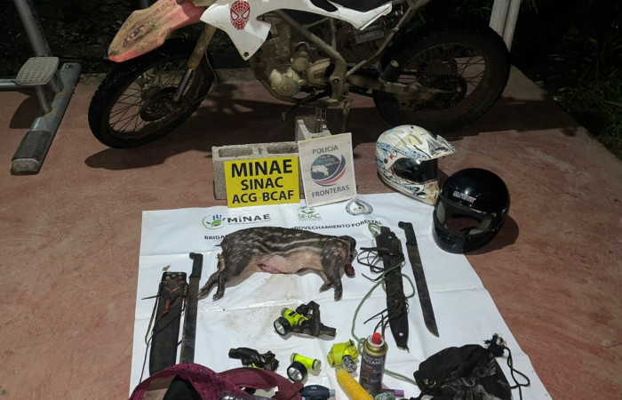 Cacería de tepezcuintle <i>Cuniculus paca</i>, setiembre 2025, sector San Cristóbal, foto:  Brigada de Control y Aprovechamiento Forestal (BCAF.PSA) 