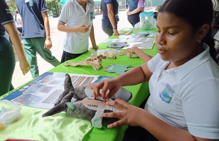 En la imagen se observa una niña con dos peluches de ballena, que tienen en el interior dos rellenos diferentes, con esta actividad se aborda la problemática de la acumulación de residuos en nuestros océanos y mares.