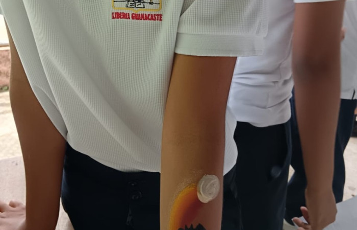 Se comparte con los estudiantes y se les confecciona una representación del viaje de los murcielagos.