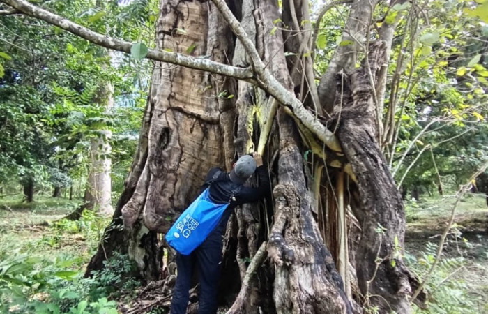 Agua Caliente, La Cruz. Fuente: archivos AICOM Santa Rosa, 2025.