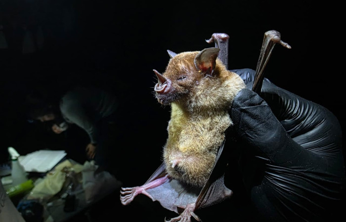 Río Salinas - Murciélago. Fuente: archivos AICOM Santa Rosa, 2025.