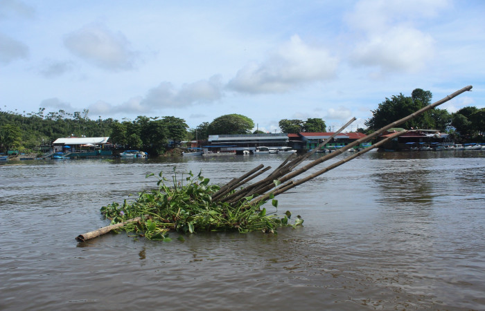 22 de junio, Sierpe, Fotografía: Melissa Espinoza