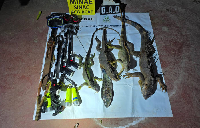 5 de febrero 2026  Río Sábalo, La Cruz Guanacaste  Foto: Brigada de Control y Aprovechamiento Forestal (BCAF.PSA)