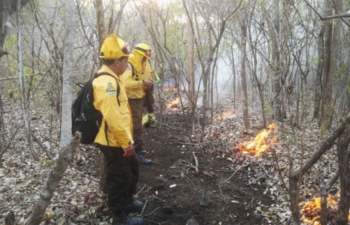 11 de mayo 2018, Foto: Programa Manejo del Fuego