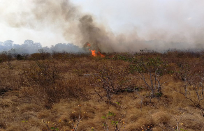4 de abril 2018, Foto: Programa Manejo del Fuego