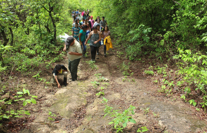 Parque Nacional Guancaste, 6 de junio 2018, Fotografía: Melissa Espinoza R.