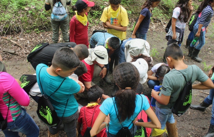 Sector Santa Rosa, 7 de junio 2018, Fotografía: Melissa Espinoza R.