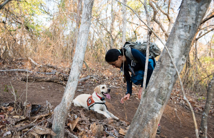 Estación Experimental Forestal Horizontes, 23-27 abril, 2019, Foto: Ian Thomson