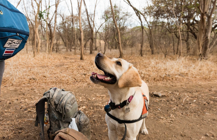 Estación Experimental Forestal Horizontes, 23-27 abril, 2019, Foto: Ian Thomson