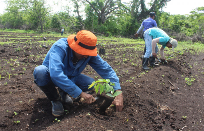 Estación Experimental Forestal Horizontes, 15 de junio 2018, Fotografía: Melissa Espinoza