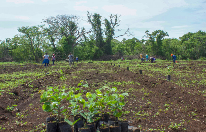 Estación Experimental Forestal Horizontes, 15 de junio 2018, Fotografía: Melissa Espinoza