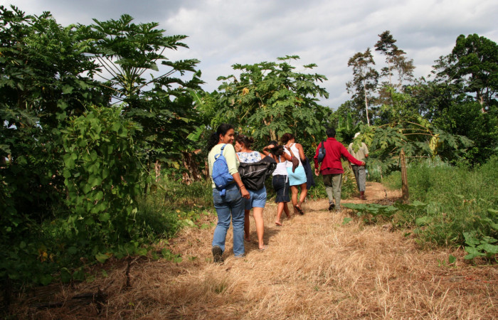 Figura 2. Comprando hortalizas en finca de don Julio Porta. Finca Tomate, Buenos Aires 2005.
