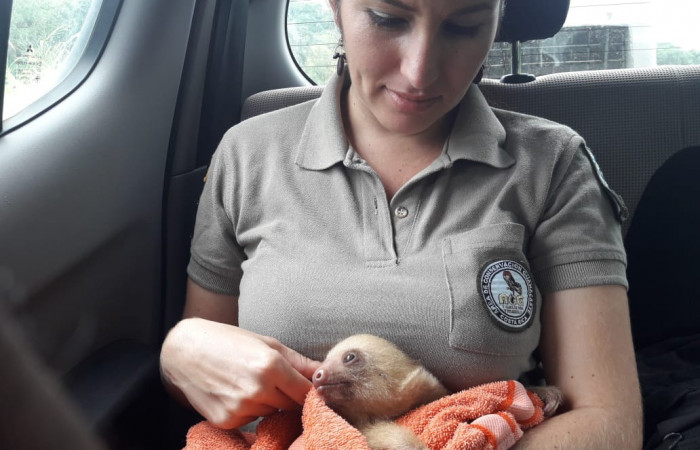 Atención de denuncia en Zonzapote, La Cruz Guanacaste, 31 de agosto 2018