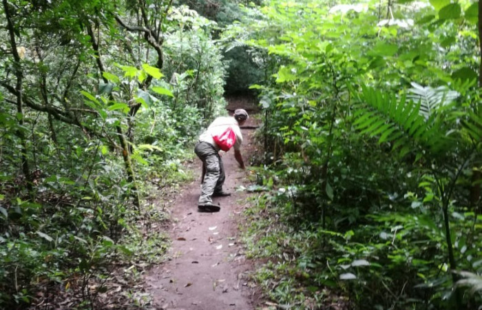 Mantenimiento de sendero La Cangreja, Sector Pailas