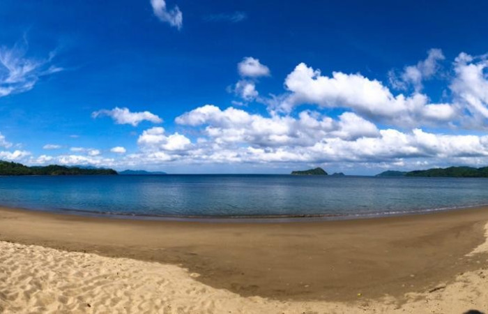 Junquillal_octubre 2018_ Cristhian Zuñiga