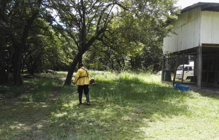 Mantenimiento y limpieza del  Sector Pocosol