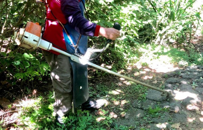 Chapia en Junquillal por Paquito