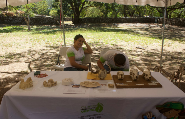 Sector Santa Rosa  (Parque Nacional Santa Rosa), 27 diciembre 2018, Foto: Melissa Espinoza