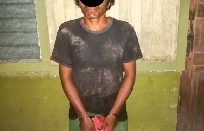 22 de mayo 2019  Pelón de la bajura  Foto: Brigada se Control de Aprovechamiento Forestal y Seguimiento al Programa de Pago por Servicios Ambientales (BCAF-PSA) ACG