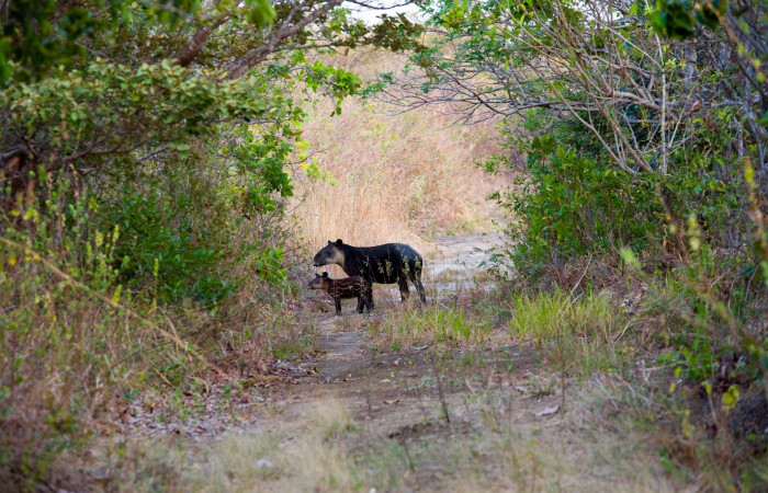 Fotografía: Luciano Capelli
