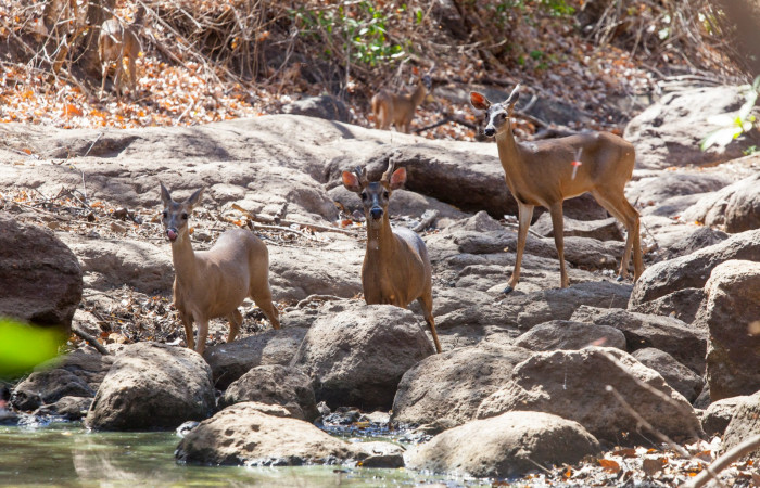 Fotografía: Luciano Capelli