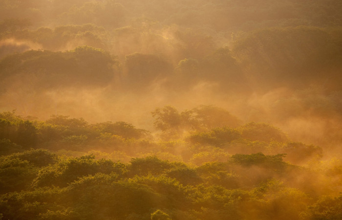 Fotografía: Luciano Capelli